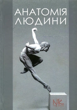 Анатомия человека. Изд. 3-е
