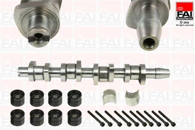 Розподільний вал комплект FAI Auto Parts Audi A3 (8p1) 1.9 TDI (Bls) 05/2003_05/2010 (CSK312)