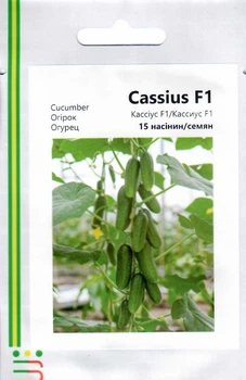 Семена Огурец Кассиус F1 (ZKI 15-07)15сем.Innova Seeds