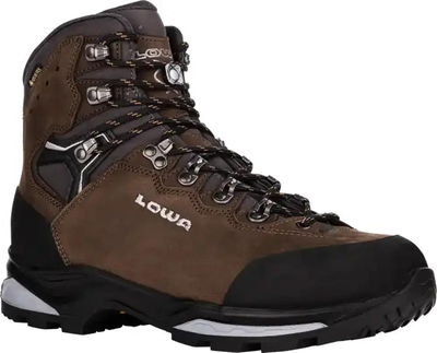 Черевики з Gore-Tex Lowa Camino Evo GTX 46 Brown-Graphite