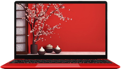 Ноутбук 14" Wozifan W7 Intel Celeron N4020C RAM 6GB SSD 256GB Win11 Металлический корпус (UKR)