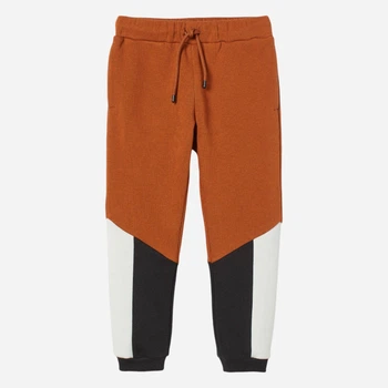 Детские теплые спортивные штаны-джоггеры для мальчика H&M 060971065 98 см Коричневый/Черный (6666000336385)