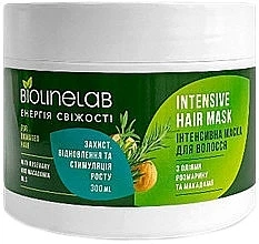 Интенсивная маска для волос с маслом розмарина и макадамии - Biolinelab Intensive Hair Mask 300ml (1219483-1738173264-2)