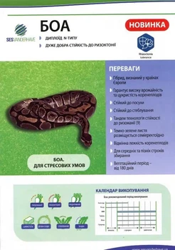 Семена сахарной свеклы БОА категории "Фермер" (дражированое, обработан протравителем), за 1 кг Sesvanderhave 76286