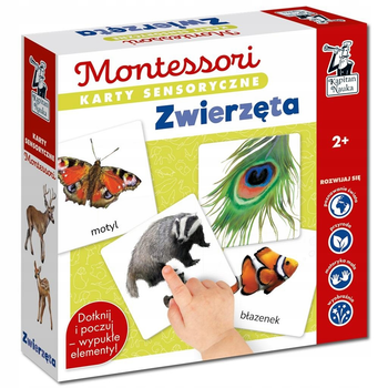 Karty sensoryczne Kapitan Nauka Montessori Zwierzęta (5904905917065)