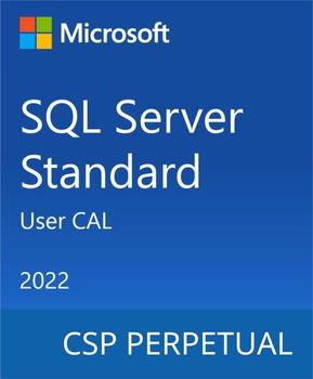 Програмний продукт Microsoft SQL Server 2022 - 1 User CAL (DG7GMGF0MF3T-0002)