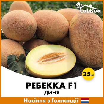 Дыня Hazera Ребекка F1, 25шт