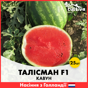 Арбуз Талисман F1, 25 шт, Голландские семена