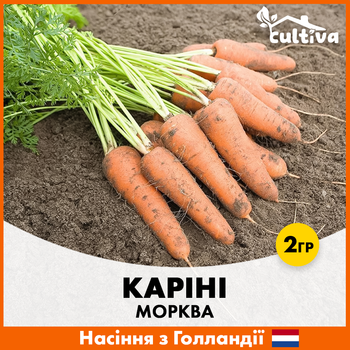 Морква Bejo Каріні, 2 гр