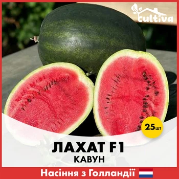 Арбуз Лахат F1, 25 шт