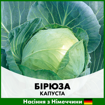 Білоголова Капуста Бірюза, 10 г
