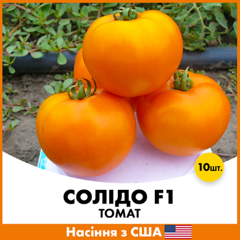 Томат Spark Seeds Солидо F1, 10 шт