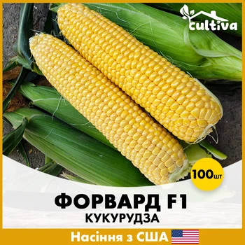 Суперсолодка Кукурудза Форвард F1, 100 шт, США
