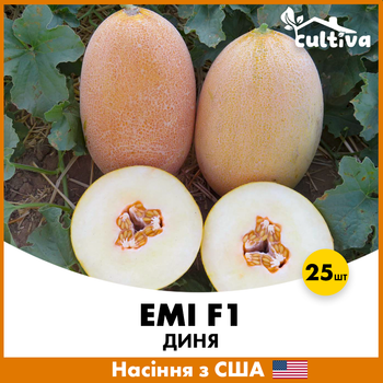 Дыня Эми F1, 5 шт, США