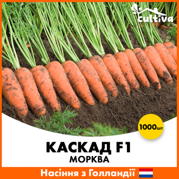 Морковь Каскад F1, 1000 шт, Голландия