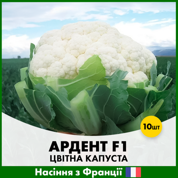 Цветная капуста Clause Ардент F1, 10 шт