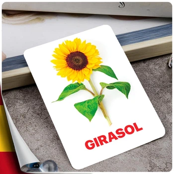 Карточки Домана ''Цветы'' на испанском языке, в наборе 24 карточек