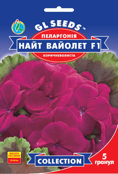 Семена Пеларгония Найт Вайолет F1 GL Seeds