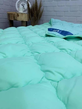 Ковдра ODA зимова холофайбер євро 200x220 м'ятний