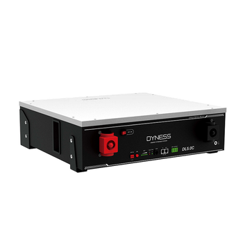 Аккумулятор Dyness DL5.0C