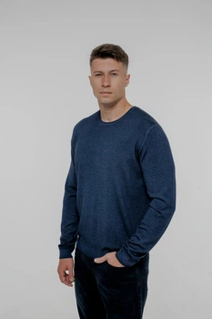 Джемпер Pierre Cardin с круглым воротом - размер 30/60 (4XL)(5037/6319/50700)