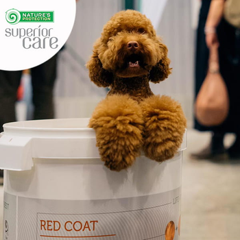 Сухий корм для собак Nature's Protection Superior Care Red Coat Grain Free Junior Small Breeds з лососем 1.5 кг (4771317472281)