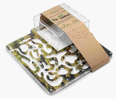 Муравьиная ферма Maximum Ant-Temple в цвете Мох (250*250*80)