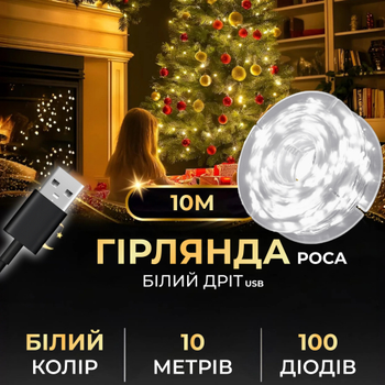 Гірлянда Роса 100 LED довжина 10 м від USB, білий(USB100L10MWW)(WB)