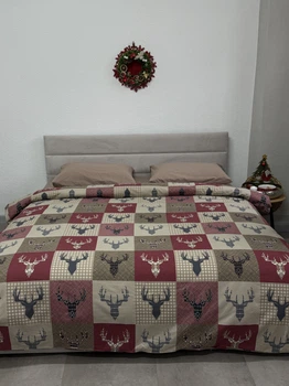 Комплект постільної білизни Ecotton Полуторний 147x210 см 29345/2 Олені на червоному Ecotton Фланель (2100024289004)