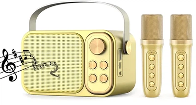 Портативная караоке-система Inspire YS-105 Gold