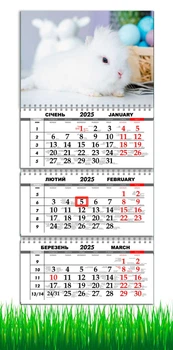 Календарь на 2025 год, Apriori ,Календарь настенный квартальный на 2025 год , на три пружины , Романтический Кролик , 29,7х61 см