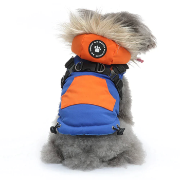 Зимний жилет для собак с капюшоном и мехом Derby Blue/Orange, S Синий/оранжевый