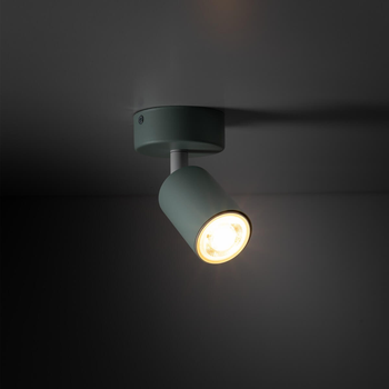 Светильник спотовый LIVIA 10220 TK-Lighting зеленый