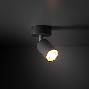 Светильник спотовый LIVIA 10223 TK-Lighting серый
