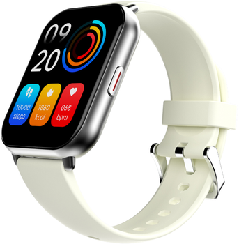 Смарт-часы HiFuture Zone 2 Silver-Grey (zone2.silver)