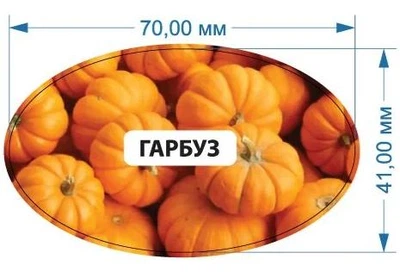 Стикер "Тыква" 70 мм х 41 мм 20 шт