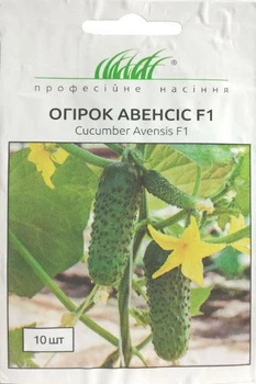 Огурец Авенсис F1 10 шт. самоопыляемый NongWoo Bio