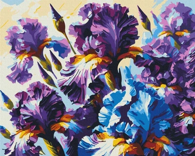 Картина по номерам Душистые ирисы © Oleg Loburak, 40 х 50 см (BSM-B54158)