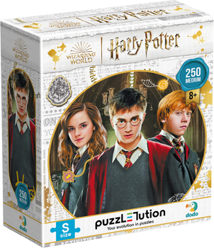 Пазл DoDo Medium-S Harry Potter Гарри и друзья 250 элементов (4823115908612)
