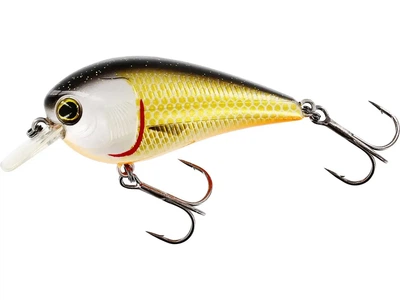 Воблер Westin BassBite 1.5 Squarebill 6cm 13g (F) Official Roach (141266) P154-155-148