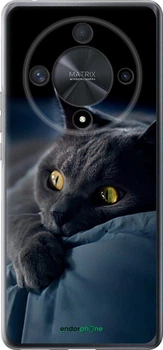 Чехол на Huawei Magic6 Lite Дымчатый кот "825u-3685-70447"
