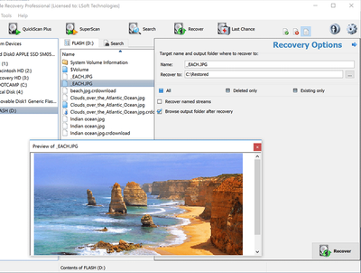 Відновленння видалених файлів LSoft File Recovery Ultimate ліцензія на 1 ПК, 1 рік