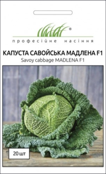 Насіння Капуста савойська Мадлена F1, 20 шт (Rijk Zvaan)