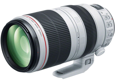 Об'єктив Canon EF 100-400mm f/4.5-5.6L IS II USM (9524B005)
