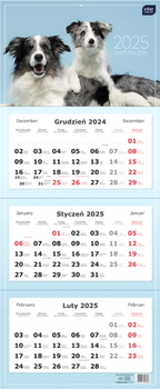 Kalendarz trójdzielny Interdruk na 2025 rok Psy 82.5x34 cm (5902277358608)