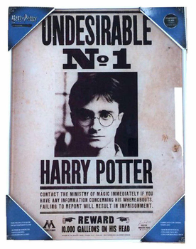 Плакат SD Toys Harry Potter Undesirable N 1 30 x 40 см (8435450200731)