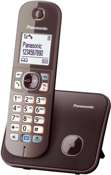 Телефон стаціонарний Panasonic KX-TG6811GA Brown