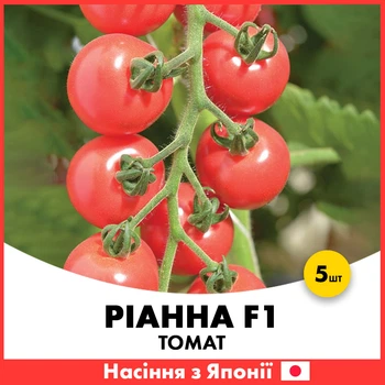 Рожевий томат черрі Ріанна F1, 5 шт, Японія