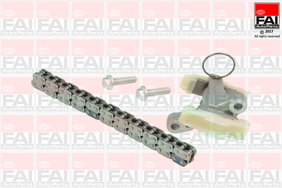 TCK262NG FAI Ланцюг ГРМ, комплект FAI Auto Parts (TCK262NG)