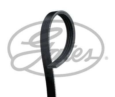 4PK788 (8653-10065) Ремінь (поліклиновий) GATES MICRO-V HORIZON Gates (4PK788)